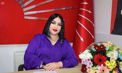CHP’li Topraktepe; “Kadınlara yönelik şiddet münferit değil, politiktir”