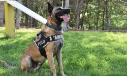 Nevşehir’de Narkotik Madde Arama Köpeği Kursu Tamamlandı