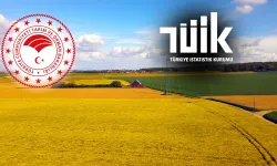 2025 Genel Tarım Sayımı Nevşehir'de Devam Ediyor