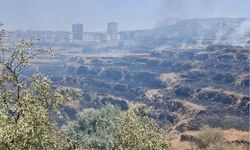 Nevşehir'de kontrol altına alınan yangın yeniden başladı