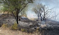 Nevşehir'de çıkan yangında üzüm bağları zarar gördü