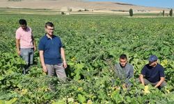 Nevşehir Tarımda Teknolojiyle Sahada!