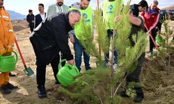 Nevşehir Mustafapaşa’da 3 Bin Fidan Toprakla Buluştu