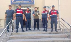 Nevşehir’de Nesli Tükenme Tehlikesindeki Baykuş Bulundu