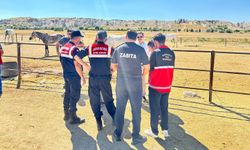 Kapadokya Alan Başkanlığı Kaçak At Çiftliklerine Göz Açtırmıyor