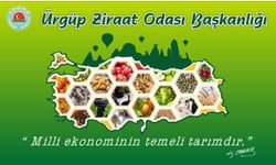 Nevşehirli Çiftçilere Müjde: Zirai Don Desteği Rakam ve Şartları Açıklandı!