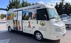 Nevşehir'in Yazıhüyük Beldesinde 'Sevimli Patiler Aracı'