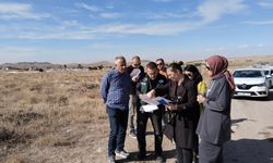 DSİ ve İl Özel İdaresi’nden Nevşehir OSB’de Taşkın İncelemesi