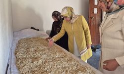 Vali Eşi Prof. Dr. Fatma Fidan Tatlarin'de Kadın Girişimcilerle Buluştu