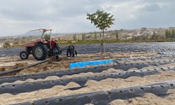 Nevşehir’de “Çilek Yetiştiriciliği Projesi” Başladı