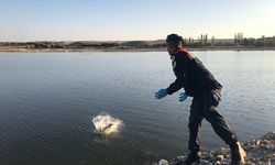 Nevşehir Kızılırmak’ta 2,5 km Ağ İmha Edildi