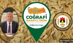 Nevşehir’in Tescilli Lezzeti Kabak Çekirdeği, Türkiye lideri