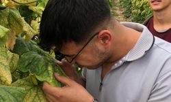 NEVÜ Öğrencileri Sera Üretim Alanlarını Yerinde İnceledi