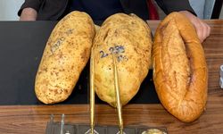 Nevşehirli Çiftçi Yetiştirdi, Türkiye Konuşuyor: 2,5 Kilo Patates!
