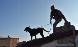 Nevşehir’de Eylül Ayında Emniyet ve Jandarma Faaliyetleri