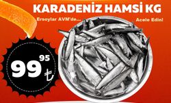 Nevşehir Ersoylar AVM’de Hamsi kapış kapış gidiyor