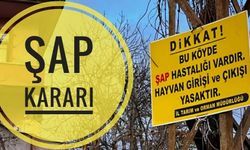 Nevşehir'de Şap hastalığı Tespit Edilen Köy Karantinaya Alındı
