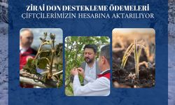 Nevşehirli 14 Bin 258 Üreticiye 318 Milyon TL Destek!