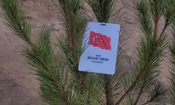 NEVÜ Öğrencileri Nevşehirli Şehitler Anısına Fidanları Toprakla Buluşturdu