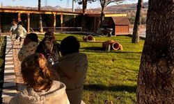 Altınyıldız Koleji Bahçelerinde Hayvanlara Yaşam Alanı Sunuluyor, Seralarında Tarım Yapılıyor