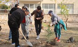 11 Kasım Ağaçlandırma Günü'nde Fidan Dağıtımı ve Fidan Dikimi