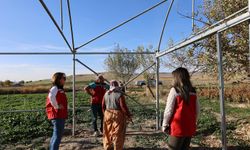 Nevşehir’de Seracılık Hızla Büyüyor!