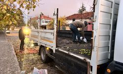 Nevşehir Avanos’ta Dar Gelirli Ailelere Kömür Yardımı Devam Ediyor