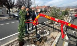 Avanos’ta Hedef Yeşile Bürünmek