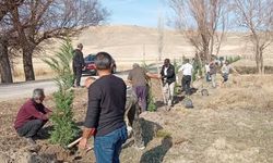 Kozaklı Aylı Köyü’nde 450 Fidan Toprakla Buluştu