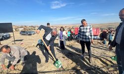 Gülşehir Emmiler Köyü’nde Hatıra Ormanı Kuruldu