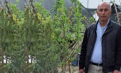 Taşlıhöyük’te Büyük Fidan Seferberliği