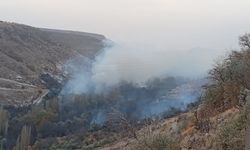 Ürgüp Demirtaş Köyü’nde Bağ ve Bahçeler Alevlere Teslim Oldu