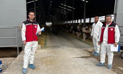 Nevşehir’de Ari İşletme Çalışmaları Hız Kesmiyor