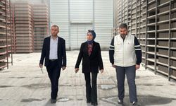 İl Müdürü Demirörs’ten Bims Firmaları ve Otellere Ziyaret