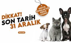 Nevşehir’de Kedi ve Köpek Sahiplerine Çip Uyarısı: Son Tarih 31 Aralık 2025