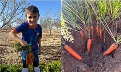 Ürgüp’te Çocuklar Tohumdan Sofraya Kendi Ürünlerini Üretiyor