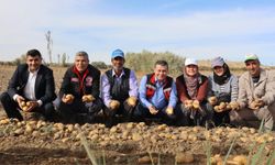 Nevşehir’de Patates Tarla Günü Düzenlendi: Yerli Çeşitler Denendi