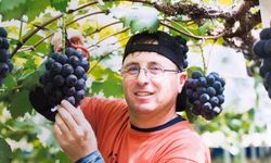 Nevşehir’in Bağlarından Japonya’nın Seralarına Başarı Hikâyesi