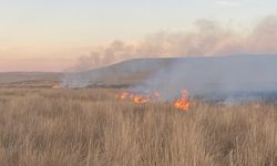 Gülşehir Yakatarla Köyü’ndeki Otluk Alanda Yangın Çıktı