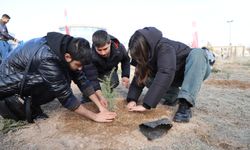 NEVÜ’lü Genç Turizmciler Sürdürülebilir Gelecek İçin Fidanları Toprakla Buluşturdu