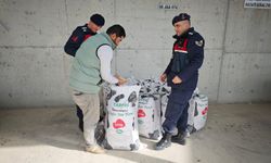 Nevşehir’de Kabak Çekirdeği Hırsızlığı Aydınlatıldı