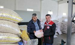 Ürgüp’te KKYDP Destekli Kabak Çekirdeği İşleme Tesisi