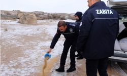 Gülşehir Belediyesi’nden Sokak Hayvanlarına Kış Desteği