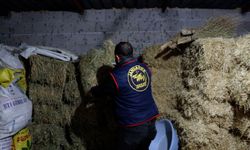 Nevşehir’de Rüşvet ve Tarihi Değerlere Yönelik Operasyon