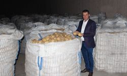 Nevşehir’de Tohumluk Patates Sertifikasyon Çalışmaları Sürüyor