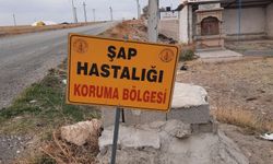 Nevşehir’de 2 Köy Karantinada, 7 Köyde Tedbirler Kaldırıldı