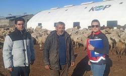 Nevşehir’de 28 Portatif Ağıl Yetiştiricilere Teslim Edildi