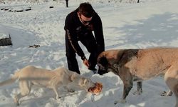Nevşehir'de Turk Riders Cappadocia’dan Kalpleri Isıtan Hareket