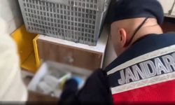 Nevşehir Dahil 63 İlde Zehir Tacirlerine Dev Operasyon