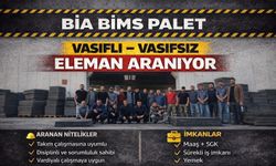 Nevşehir Bia Bims Palet'e çalışma arkadaşları aranıyor